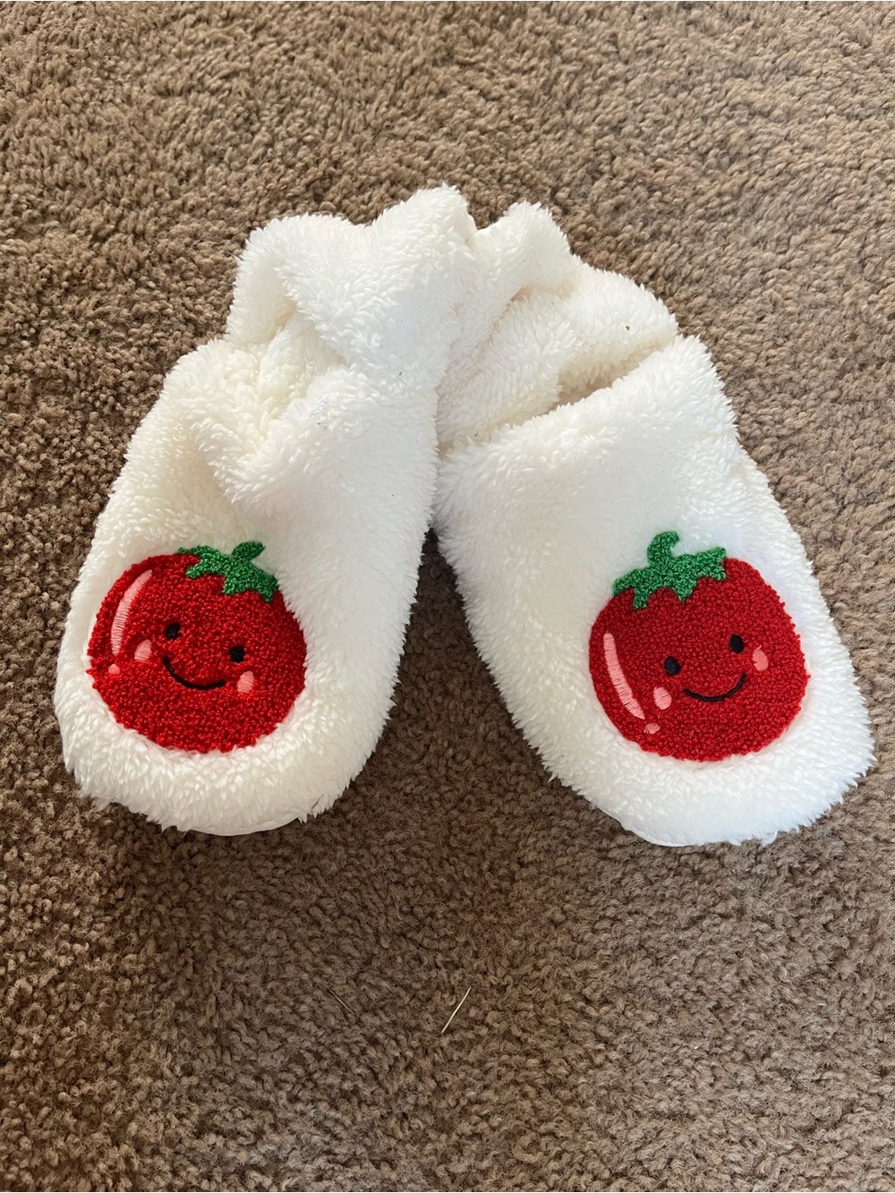 New Cherry Slippers / Womens Slippers